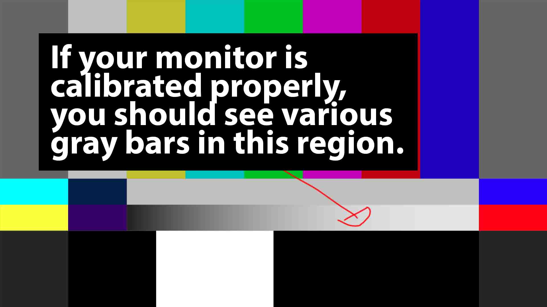 vhs-to-digital-expectations14